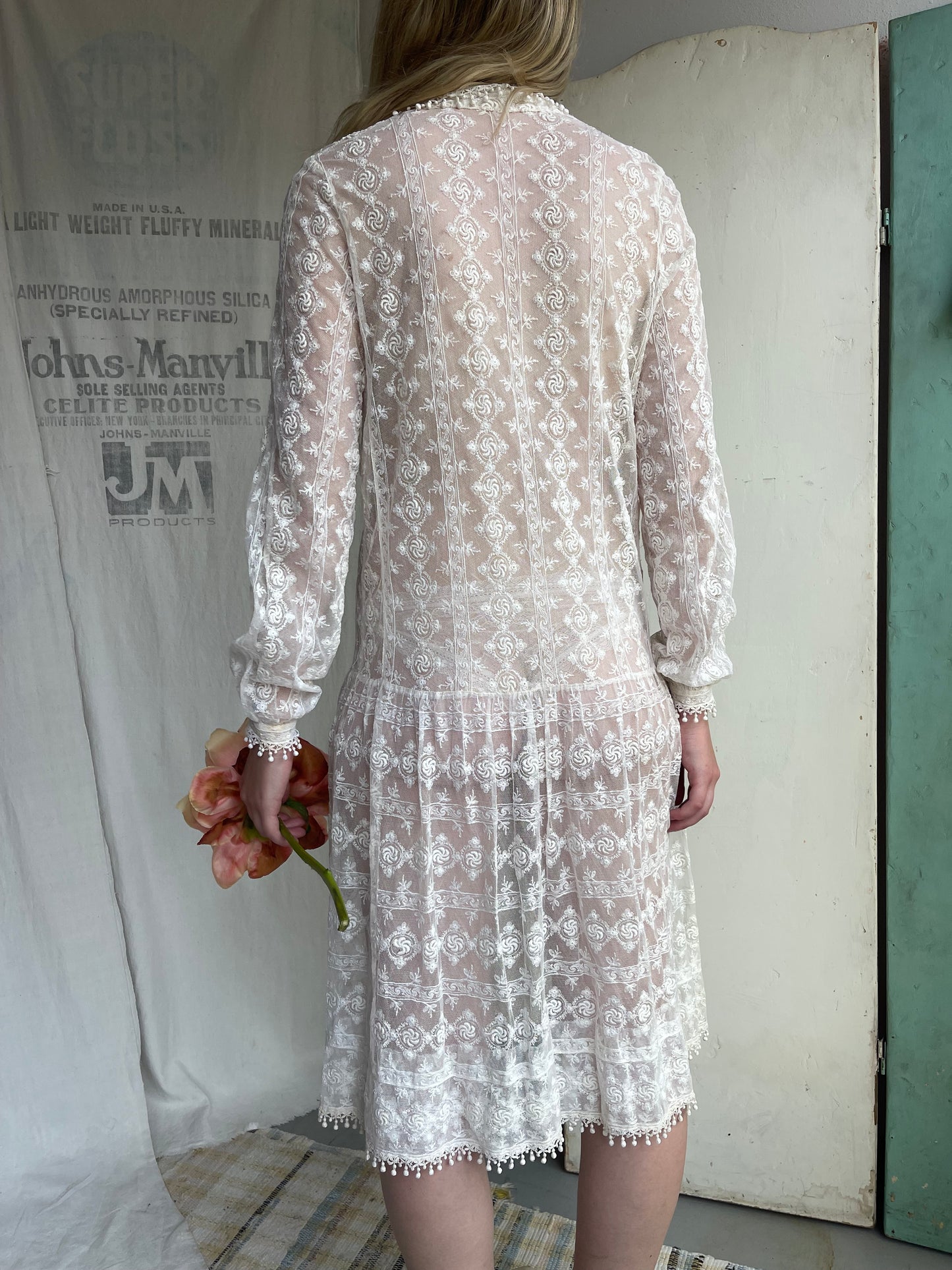 1920s Drop Waist Tambour Lace Dress