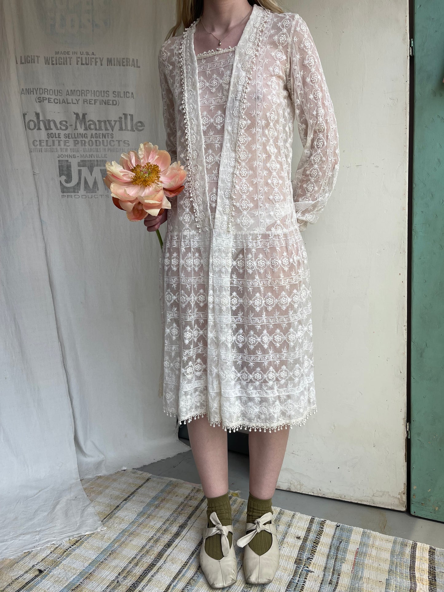 1920s Drop Waist Tambour Lace Dress