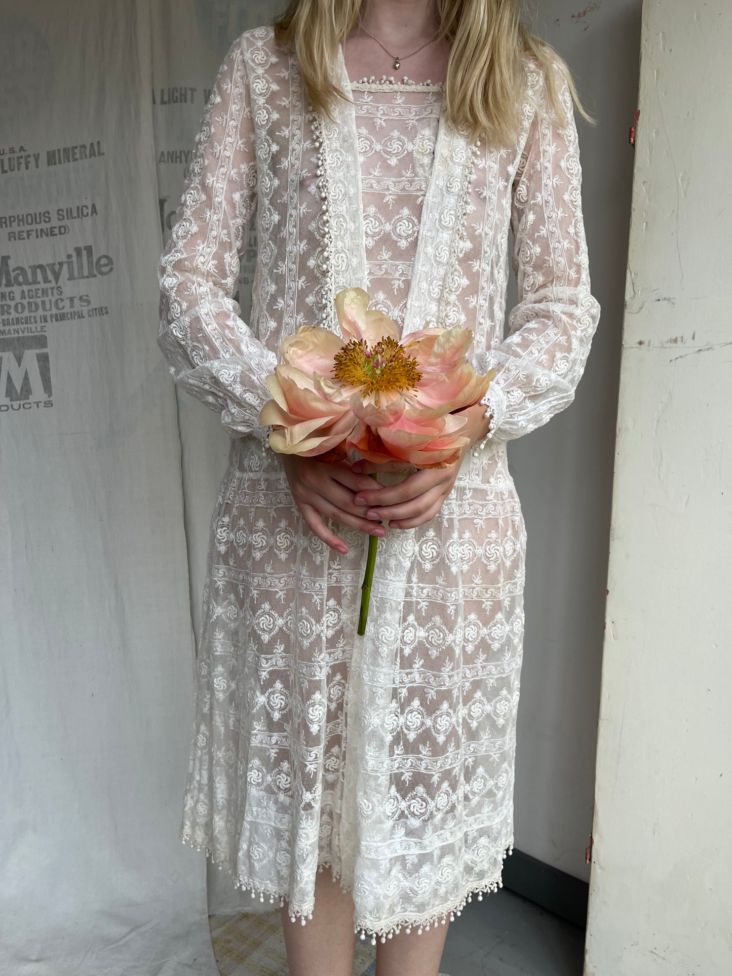 1920s Drop Waist Tambour Lace Dress