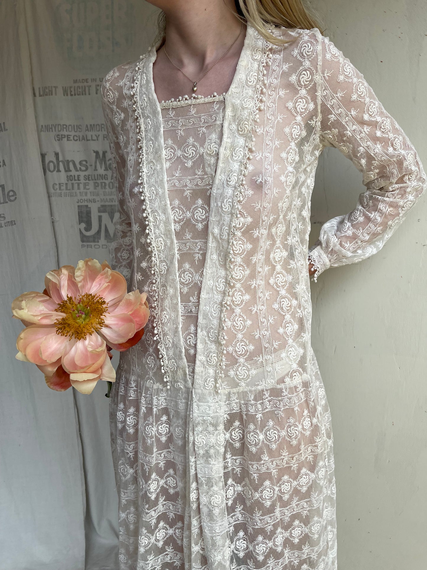 1920s Drop Waist Tambour Lace Dress
