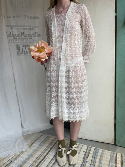 1920s Drop Waist Tambour Lace Dress